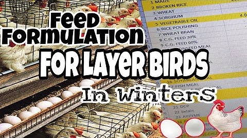 Layer Feed Formulation in Winters || Andy wali murghio ky liyey sardio ki feed 🐔🐔🐔