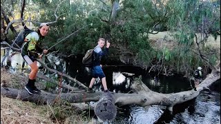 Murray Cod lure fishing with tips feat. Keahn, Robbo and Jaycod