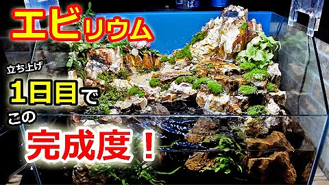 水槽ビール レイアウト Mp3
