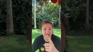  Highlight highlights  Thank You  Subscribers And Supporters 