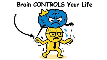 Why Your Brain Makes Decisions Without You Knowing