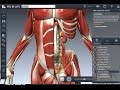 مشاهدة جسم الانسان 3D