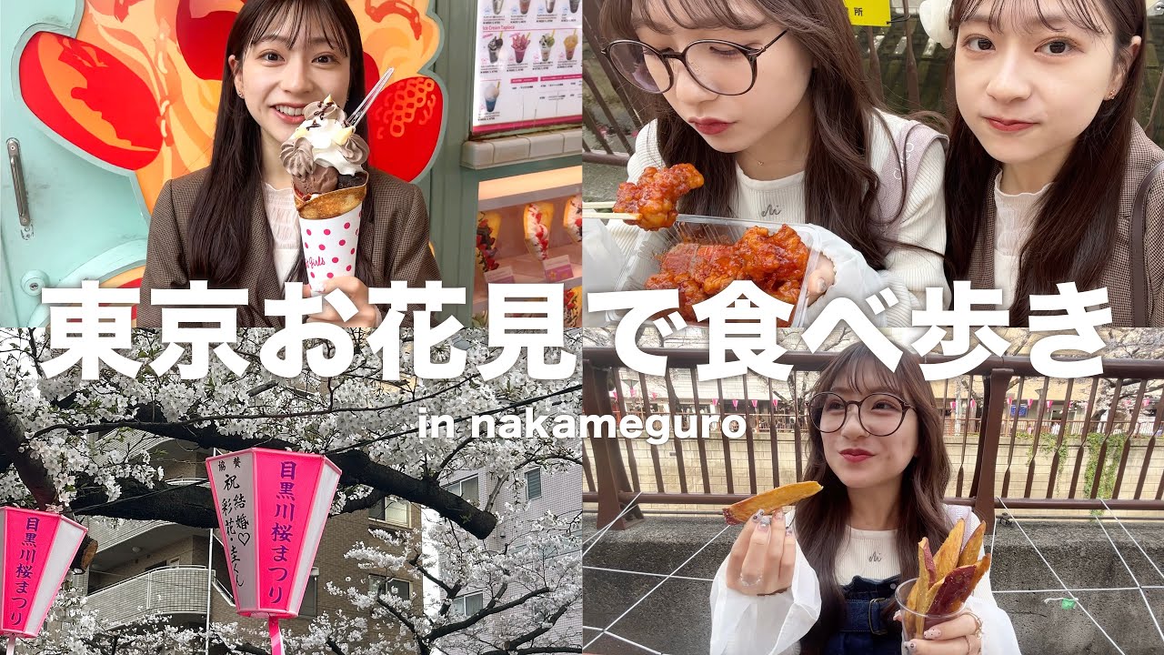 【vlog】桜が綺麗すぎた🌸ˊ˗ 食欲全開で食べ歩きもしてきた最高の1日🧺💭【お花見】