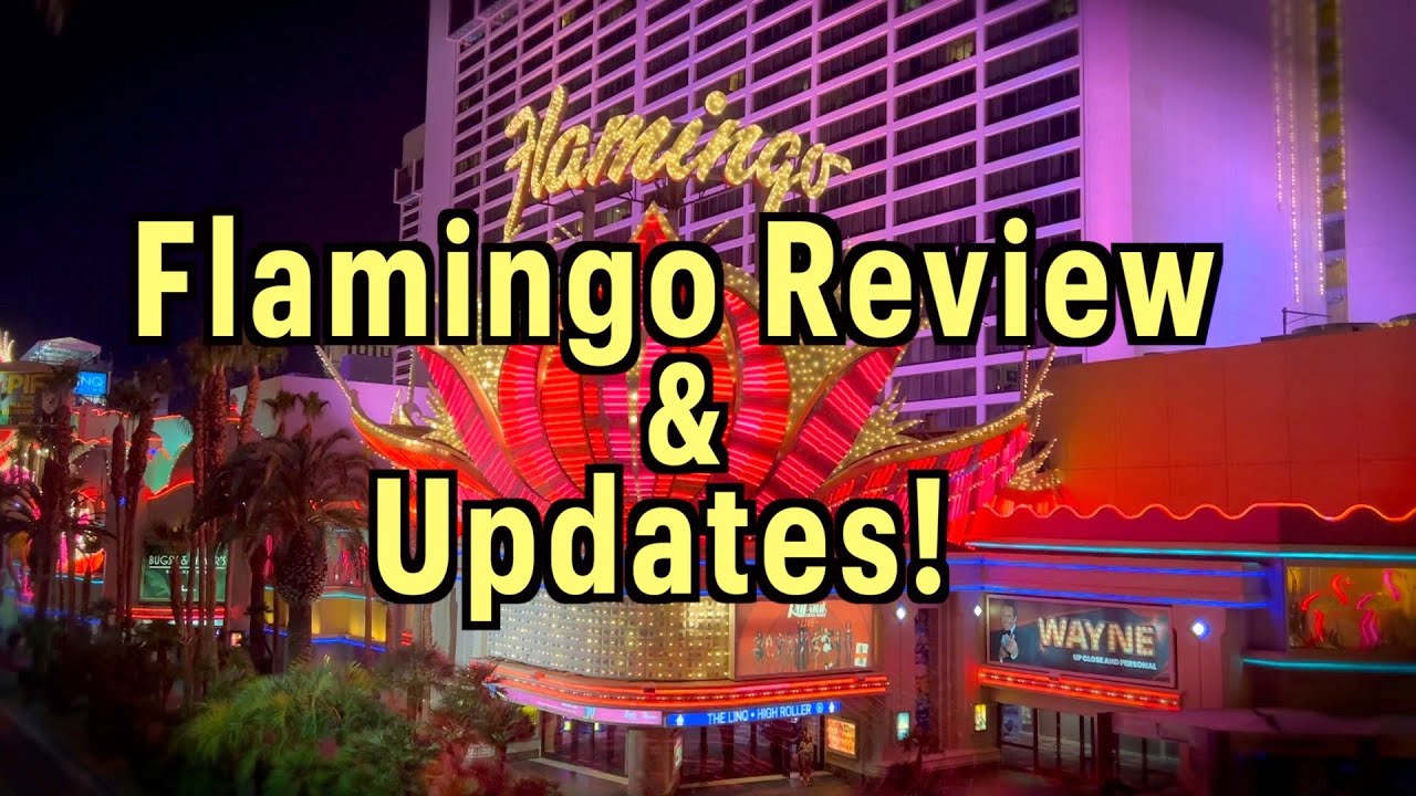 Flamingo Las Vegas Flamingo Room Review