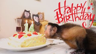 Happy Birthday MonkeyBoo! by MonkeyBoo 21,820 views 6 months ago 15 minutes