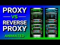 Proxy vs reverse proxy explained