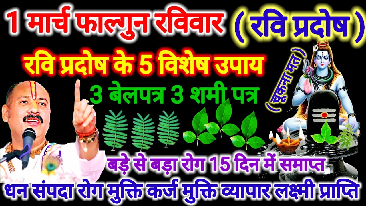 1 मार्च रविवार प्रदोष करें 3 बेलपत्र 3 शमीपत्र से  रोग मुक्ति उपाय। #रविप्रदोष #pradeepmishra #upay