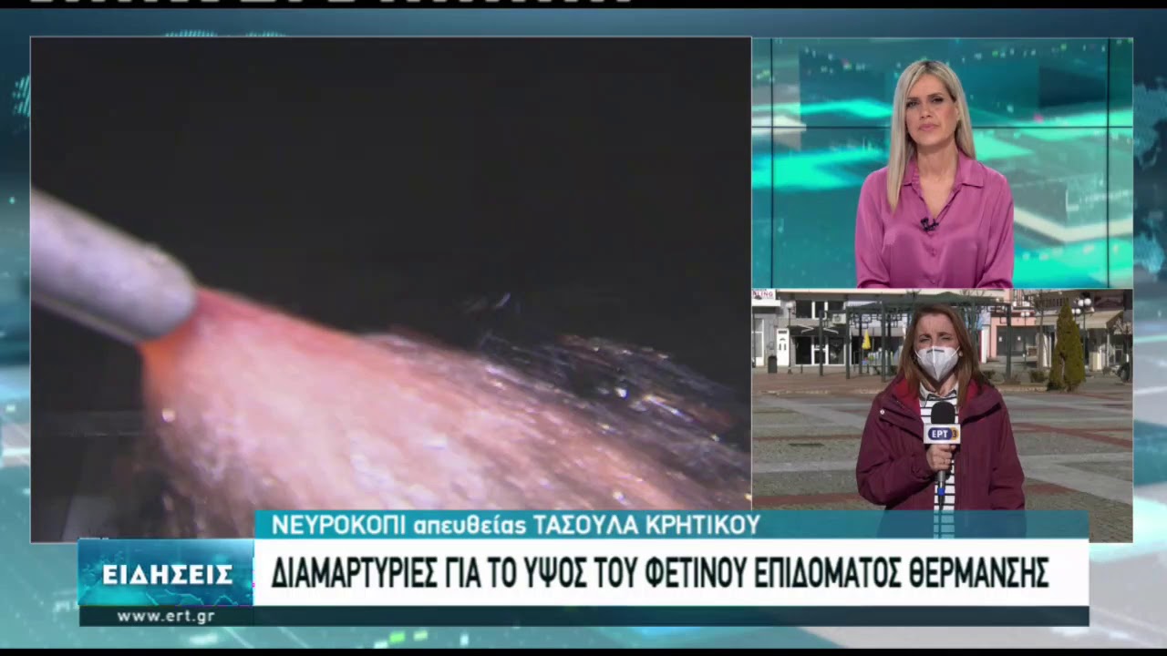 Νευροκόπι: Διαμαρτυρία για το χαμηλό επίδομα θέρμανσης | 04/02/2021 | ΕΡΤ