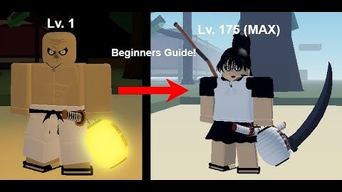 Project Slayers Beginners Guide!