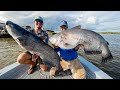 Monster Mississippi River Catfish