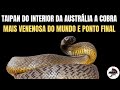 Taipan do interior da Austrália, a cobra mais venenosa do mundo e ponto final.
