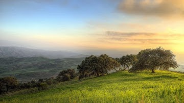 تلاوة طيبة رائعة لسورة سبأ بصوت القارئ أحمد النفيس - 1438هـ