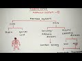 NERVOUS SYSTEM | PART -1 | BRAIN ANATOMY & PHYSIOLOGY | RRB | ESIC | GPAT | NIPER | DI | NEET |