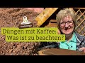 Düngen mit Kaffee: Für welche Pflanzen geeignet, was ist zu beachten?