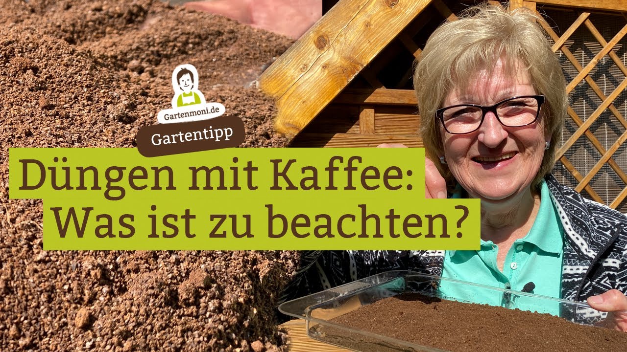 Dngen mit Kaffee: Fr welche Pflanzen geeignet, was ist zu beachten?
