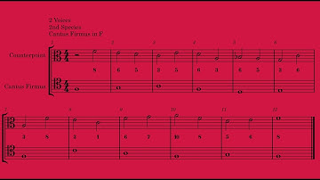 Fux Counterpoint. 2 Voices 2nd Species (Cantus Firmus F, lower part)