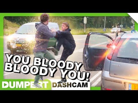 8K Dash Cameras: Fake vs. Real