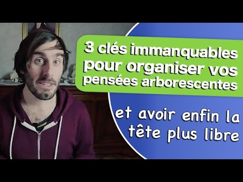 Vidéo: Comment Organiser Ses Propres Pensées