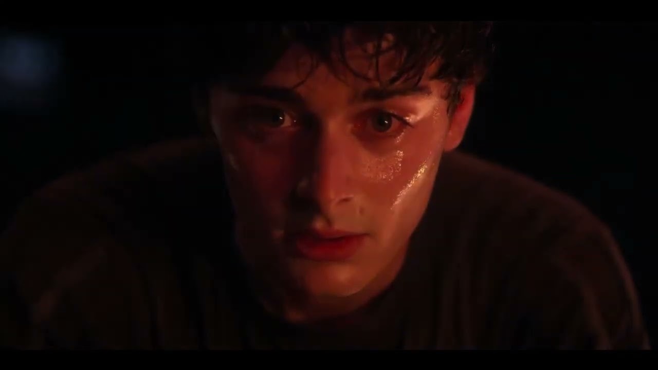 Stranger Things 5 - Will The Wise