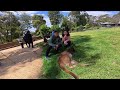 Ballarat Wild Life Park