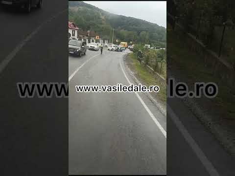 Accident Sabișa