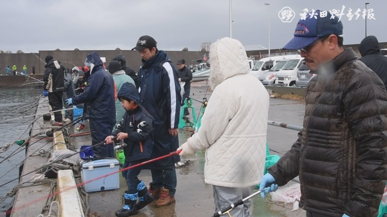 釣り 2019 ハタハタ