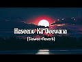 Haseeno Ka Deewana Slowed Reverb Kaabil 