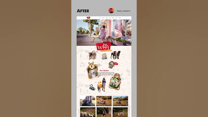 Wix Website Examples | Best Wix Website Design | dog website #wix #wixstudio #website