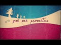 Miniature de la vidéo de la chanson Prometo