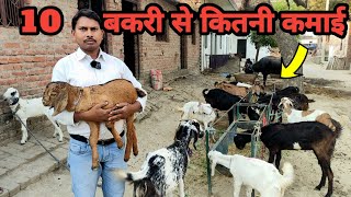 10 बकरी पालने से कितनी कमाई होती है | सरकारी स्कूल के शिक्षक से सीखे बकरी पालन का गणित | Goat farm