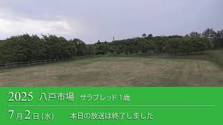 2025八戸市場【サラ１歳】 生中継