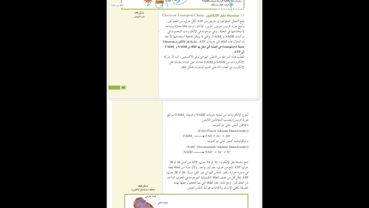 سلسلة الالكترونات -الدرس الخامس -ص١١