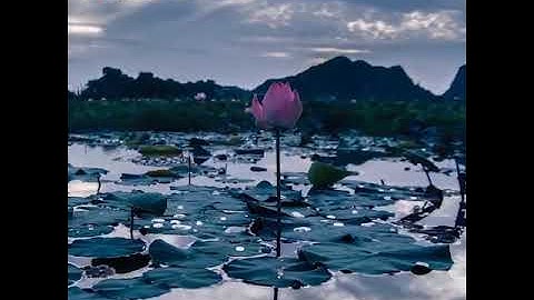 Lacco chúc mừng quốc khánh Việt Nam 2022