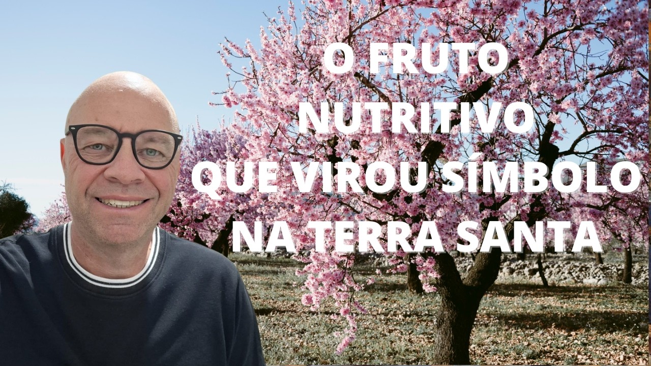 Como um dos frutos mais nutritivos do planeta virou símbolo na Terra Santa