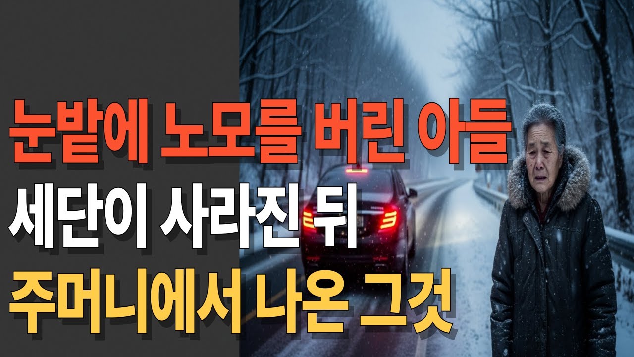 눈밭에 노모를 버린 아들세단이 사라진 뒤 주머니에서 나온 그것