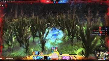 ◌ Guild Wars 2 - Dagger Elementalist (SPvP)