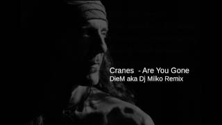 Cranes - Are You Gone (DieM aka Dj Milko Remix)