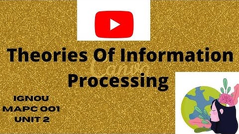 Theories Of Information Processing