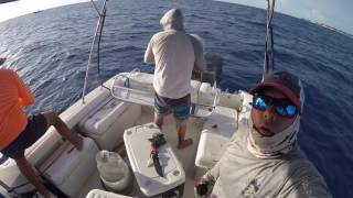 Bimini 2017
