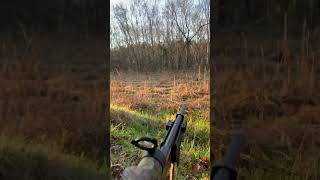 Air shotgun 20 gauge PBBA.