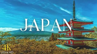 Japanese Lofi Radio  🔴 Aesthetic Lofi Hip Hop Music 🔴 No Copyright Lofi Hip Hop Beats