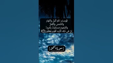 سورة النحل الآية ١٠ الى ١٣ بصوت الشيخ ماهر المعيقلي
