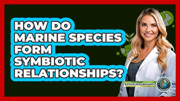 How Do Marine Species Form Symbiotic Relationships? - Earth Science Answers