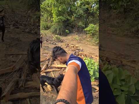Lakadi ki chori 🤯🤭         #vlog-18 #minivlog #lifestyle #trending