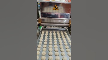 Millets Biscuits Making Machine M 09168920294