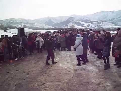 Сосновка киргизии Сосновка киргизии