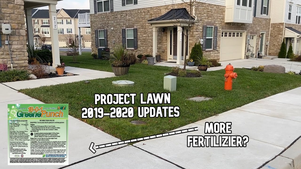 PROJECT LAWN  2019/2020 ~ How's It Look?