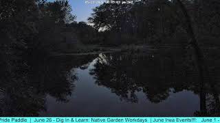 Ipswich River LIVE Wildlife Cam - Ipswich River Watershed Association
