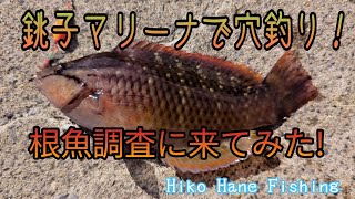 根魚一番 mqdefault.jpg