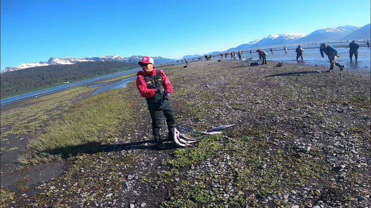 Red Salmon Snagging at Seward update 06/14/2021 YouTube